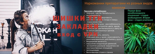 spice Осташков