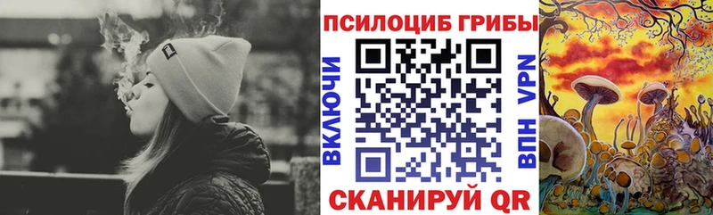 Псилоцибиновые грибы мицелий  купить   Ливны 