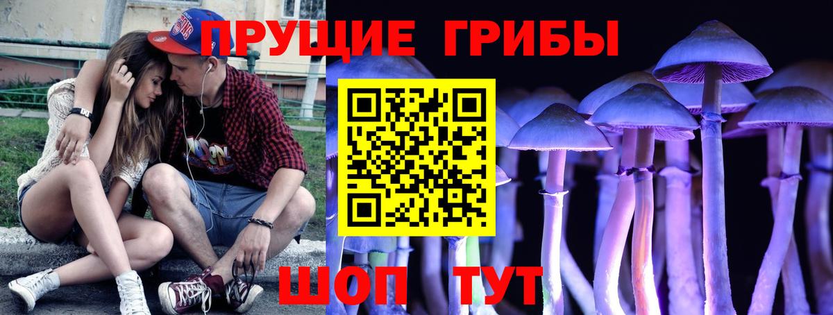 Галлюциногенные грибы мицелий Ливны