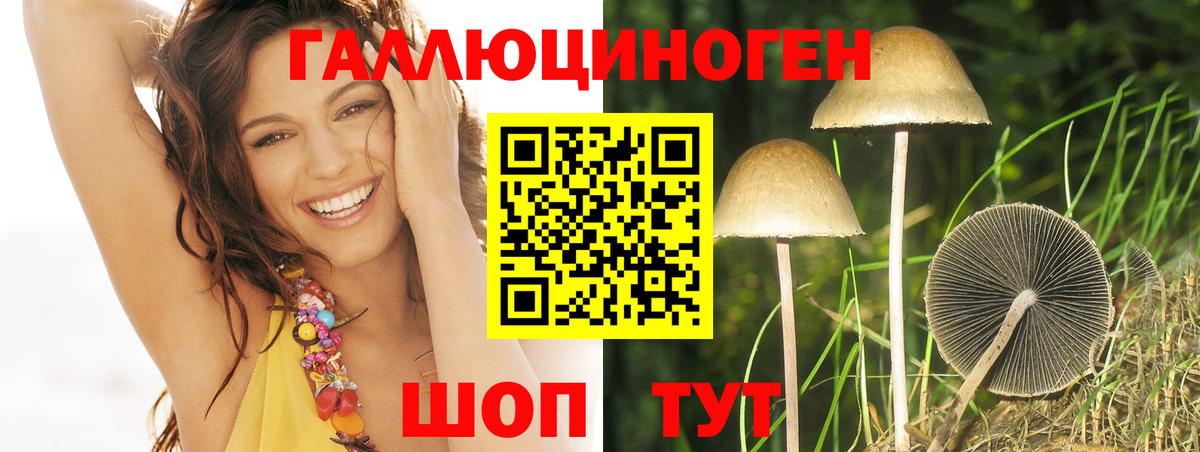 Псилоцибиновые грибы мицелий  Вход с VPN  Галлюциногенные грибы Magic Shrooms  Ливны 