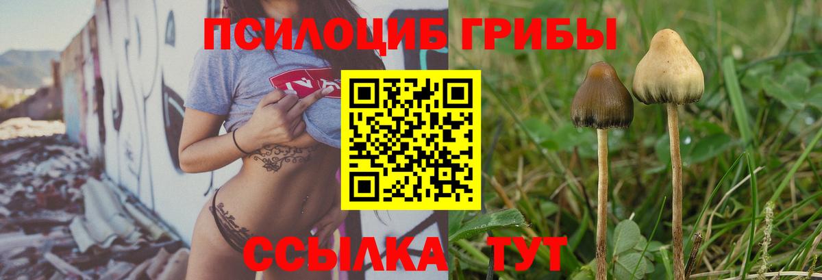 Псилоцибиновые грибы Magic Shrooms  купить наркотик  Псилоцибиновые грибы GOLDEN TEACHER  Ливны 