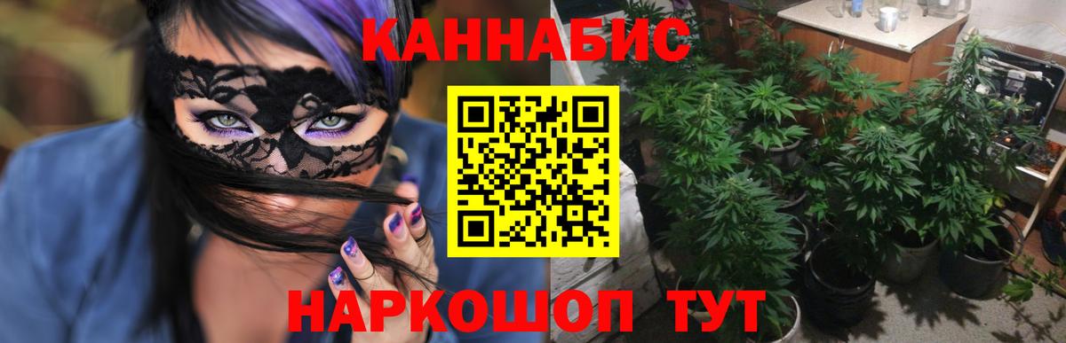 Бошки марихуана THC 21% Ливны
